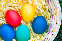 Easter egg hunts in Boston in April Easter egg hunts in Boston in April